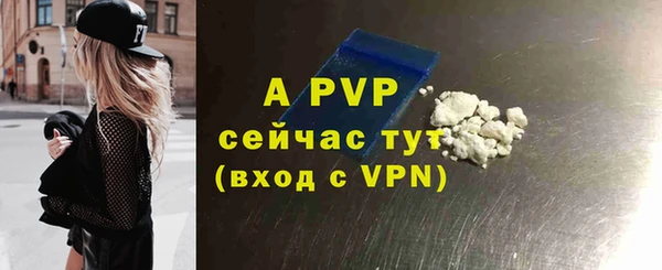 гидра Майский