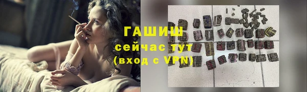 гидра Майский
