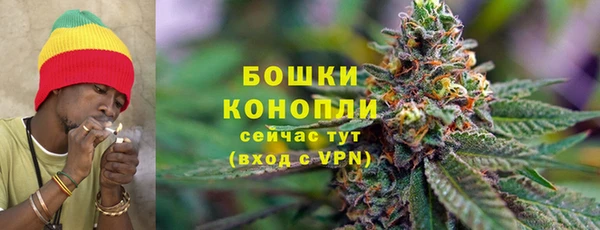 ECSTASY Магас