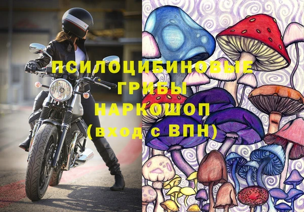 гидра Майский