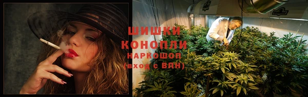 ECSTASY Магас